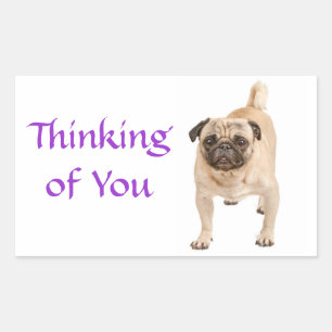 Pug Puppy Hond Denk Aan Jou Stickers