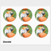 Pug puppy in pompoenen stickers (Vel)