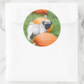 Pug puppy in pompoenen stickers (Tas)