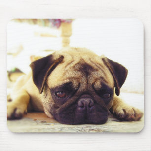 Pug Puppy Lazing op de grond Muismat