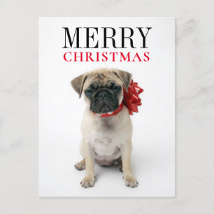 Pug Puppy met kerstboog Feestdagenkaart
