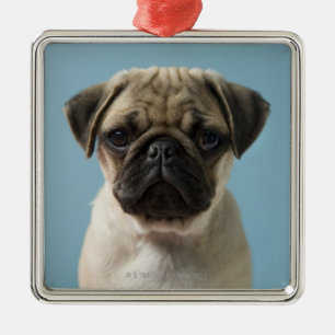 Pug Puppy Metalen Ornament