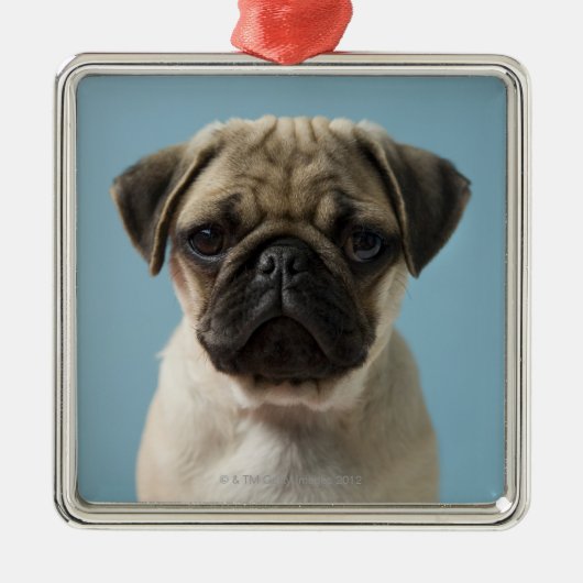 Pug Puppy Metalen Ornament (Voorkant)