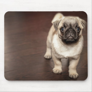 Pug Puppy Muismat