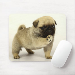 Pug Puppy Muismat