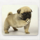 Pug Puppy Muismat (Voorkant)