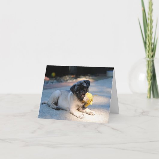 Pug Puppy Note Kaart (Voorkant)