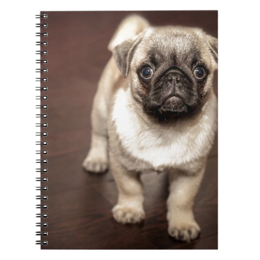 Pug Puppy Notitieboek (Voorkant)