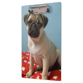 Pug puppy op bed klembord (Links)