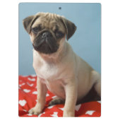Pug puppy op bed klembord (Achterkant)