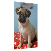 Pug puppy op bed klembord (Rechts)