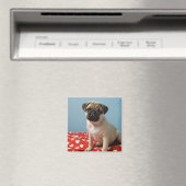 Pug puppy op bed magneet (Insitu (Vaatwasser))