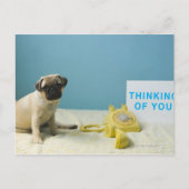 Pug puppy op bed naast de telefoon en briefkaart (Voorkant)