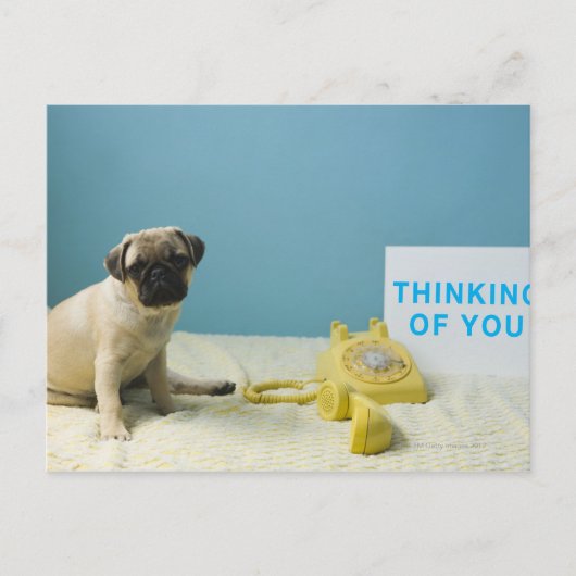 Pug puppy op bed naast de telefoon en briefkaart (Voorkant)