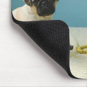 Pug puppy op bed naast de telefoon en muismat (Hoek)