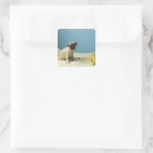 Pug puppy op bed naast de telefoon en vierkante sticker (Tas)
