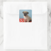 Pug puppy op bed vierkante sticker (Tas)