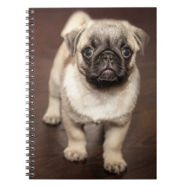 Pug Puppy op gepolijste houten vloer Notitieboek
