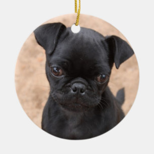 Pug puppy ornament
