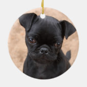 Pug puppy ornament (Achterkant)