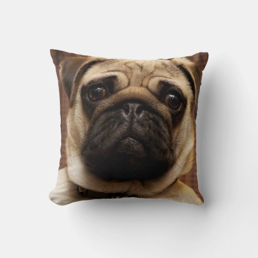 Pug Puppy Pet Dog Sierkussen Home Decor (Voorkant)