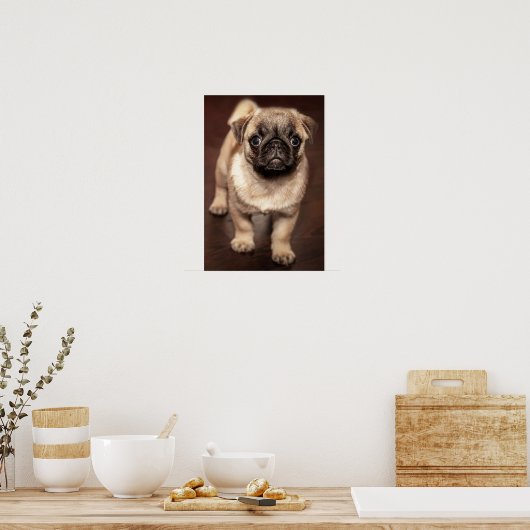 Pug Puppy Poster (Keuken)