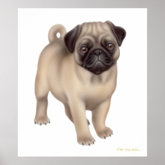 Pug Puppy Print (Voorkant)