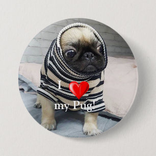 Pug Puppy Ronde Button 7,6 Cm