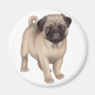 Pug Puppy Ronde Magneet
