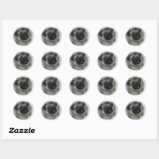 Pug Puppy Ronde Sticker (Vel)