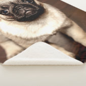 PUG PUPPY SHERPA DEKEN (3/4)
