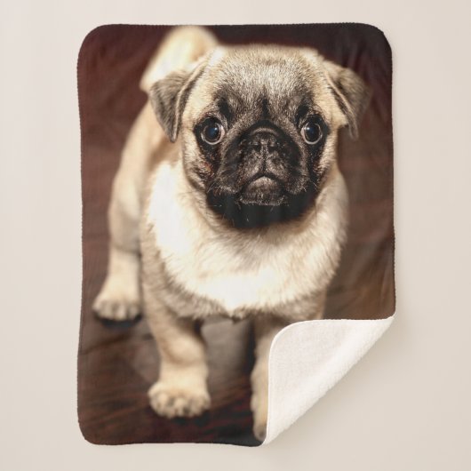 PUG PUPPY SHERPA DEKEN (Voorkant)