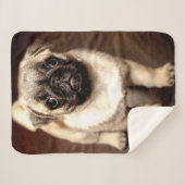 PUG PUPPY SHERPA DEKEN (Voorkant (horizontaal))