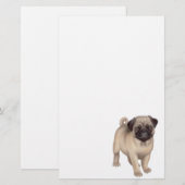Pug Puppy Stationery Briefpapier (Voorkant / Achterkant)