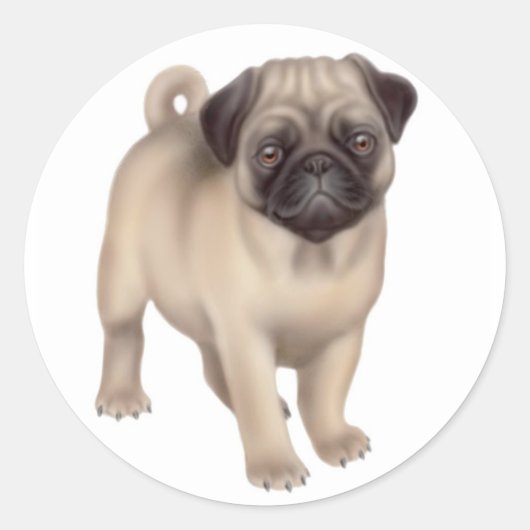 Pug Puppy Sticker (Voorkant)