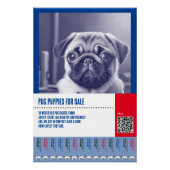 Pug puppy te koop flyer sjablonen perfect poster (Voorkant)