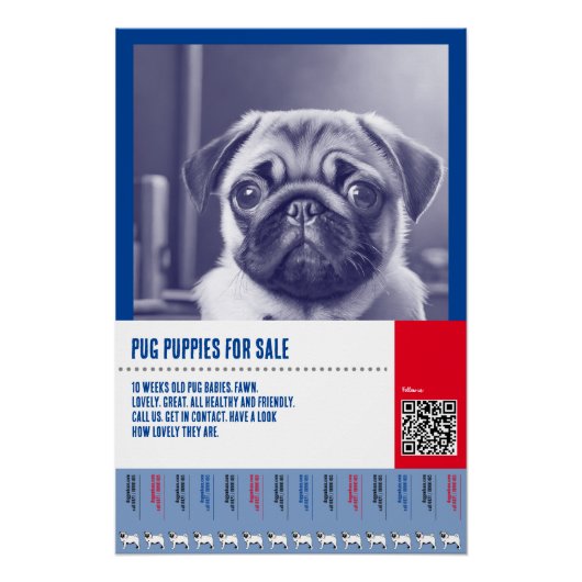 Pug puppy te koop flyer sjablonen perfect poster (Voorkant)