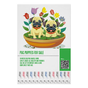 Pug-puppy te koop flyer sjablonen perfect poster