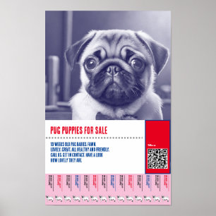 Pug-puppy te koop flyer sjablonen poster