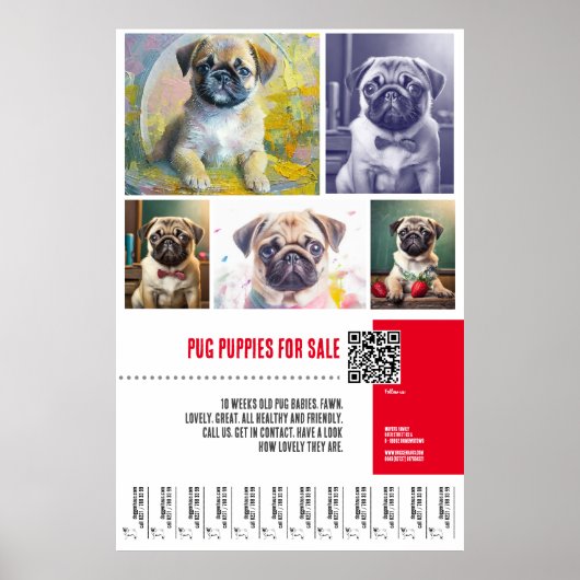 Pug puppy te koop poster sjablonen (Voorkant)
