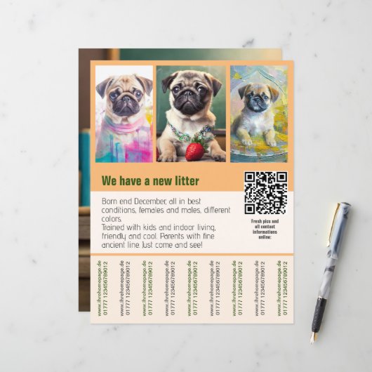 Pug-puppy's te koop flyer sjabloon QR-code (Voorkant / Achterkant in situ)