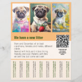 Pug-puppy's te koop flyer sjabloon QR-code (Voorkant)