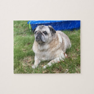 Pug Puzzle Legpuzzel