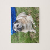 Pug Puzzle Legpuzzel (Verticaal)