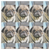 Pug q stof (Swatch)