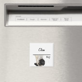 Pug reinigen / vuil magneet (Insitu (Vaatwasser))