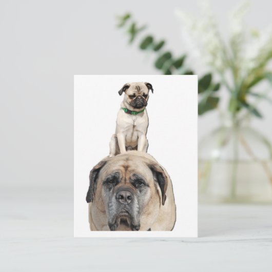 Pug Riding a Mastiff Briefkaarten (Staand voorkant)