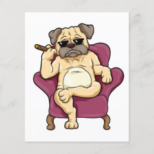 Pug-roker   Werkelijke koele pug Dog Flyer