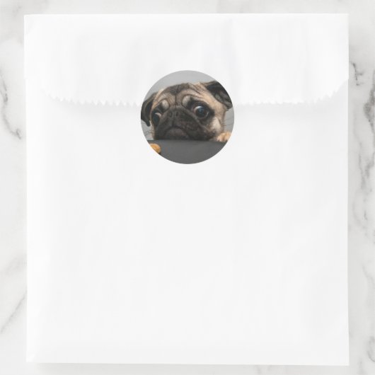 Pug Ronde Sticker (Tas)