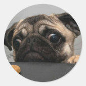 Pug Ronde Sticker (Voorkant)